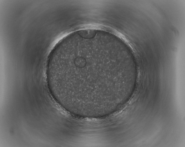 X0000111051312200907161357