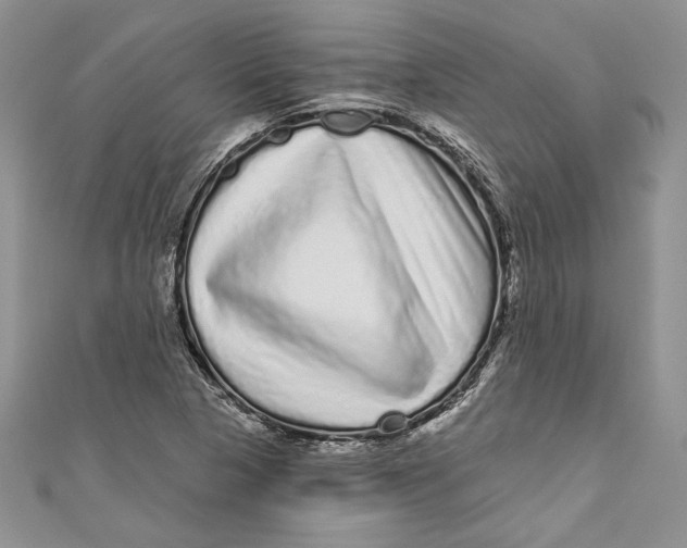 X0000111051313200907161357