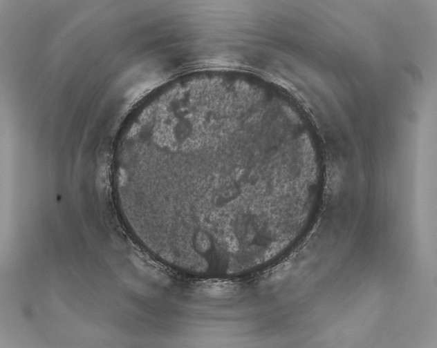 X0000111051314200907161357