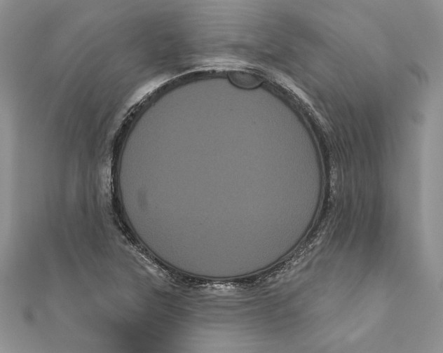 X0000111051315200907161357