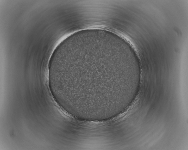 X0000111051324200907161357