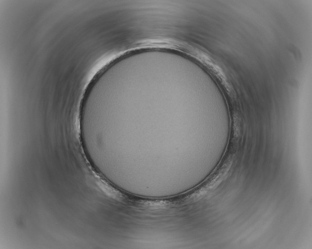 X0000111051328200907161357