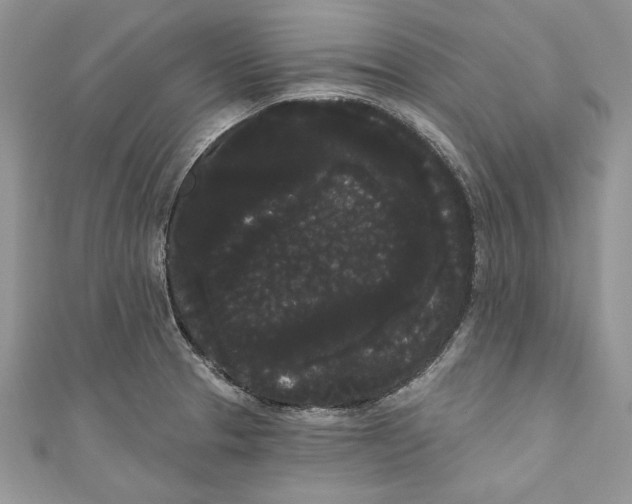 X0000111051329200907161357