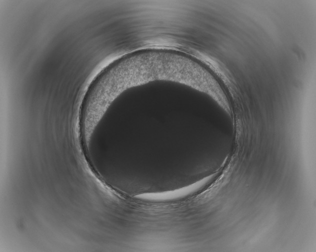 X0000111051331200907161357