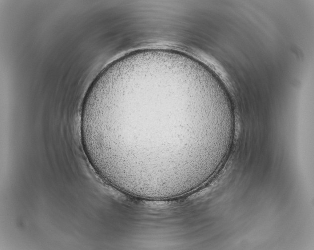 X0000111051332200907161357