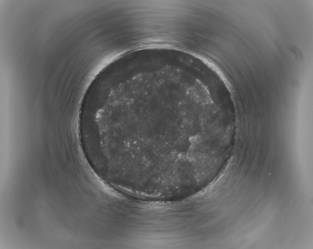 X0000111051333200907161357