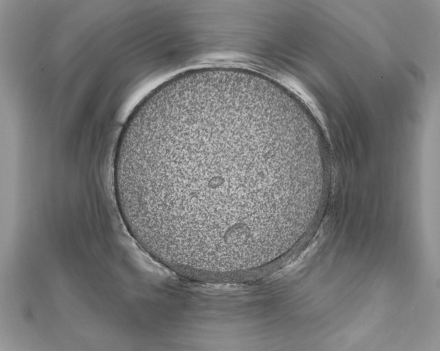 X0000111051336200907161357