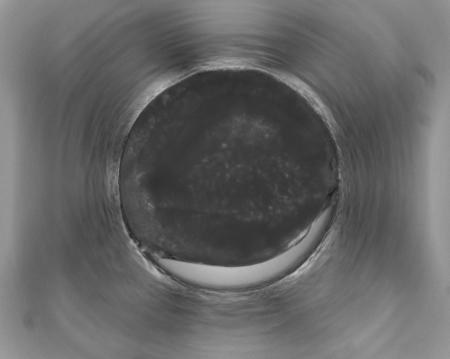 X0000111051337200907161357