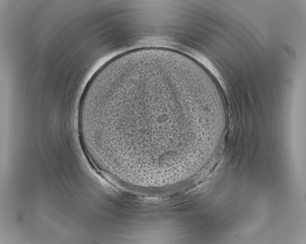 X0000111051339200907161357