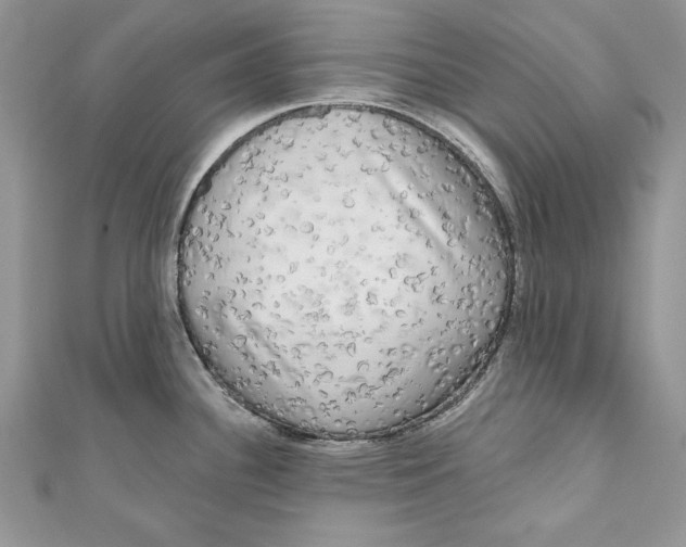 X0000111051340200907161357