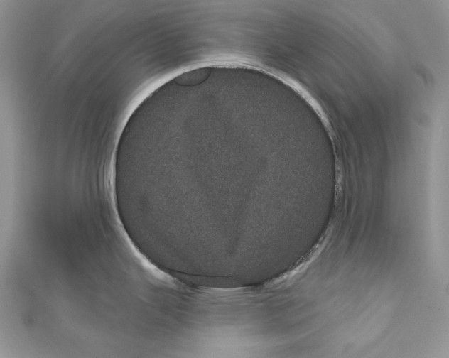 X0000111051343200907161357