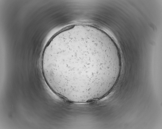 X0000111051344200907161357