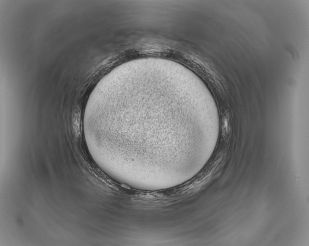 X0000111051348200907161357