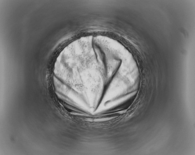 X0000111051351200907161357