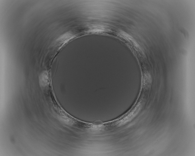 X0000111051353200907161356