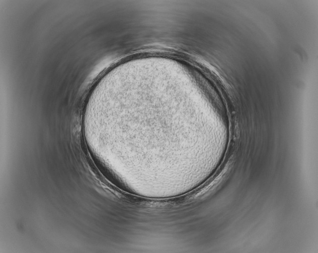 X0000111051355200907161356