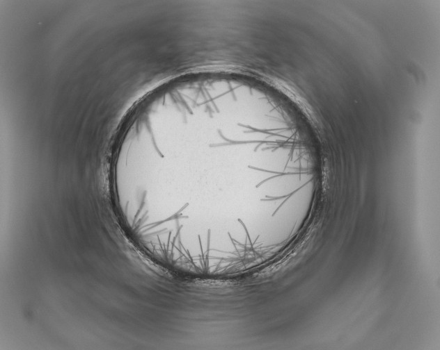 X0000111051356200907161356