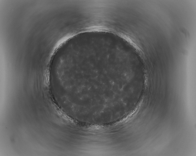 X0000111051358200907161356