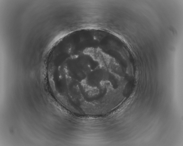 X0000111051359200907161356