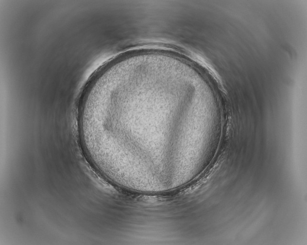 X0000111051360200907161356