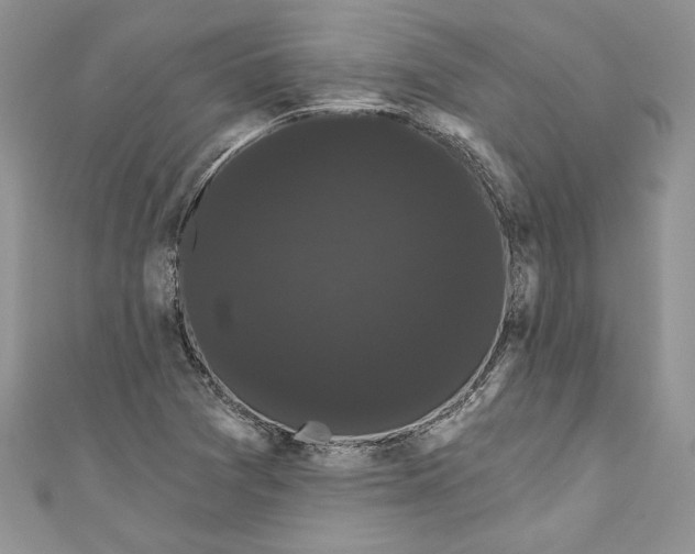 X0000111051361200907161356