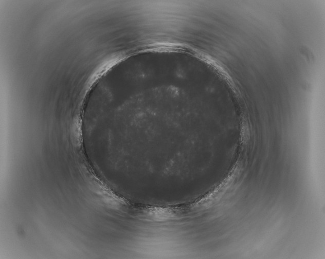 X0000111051362200907161356