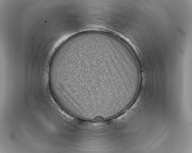 X0000111051363200907161356