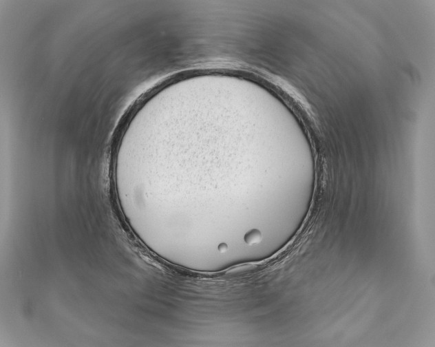 X0000111051364200907161356