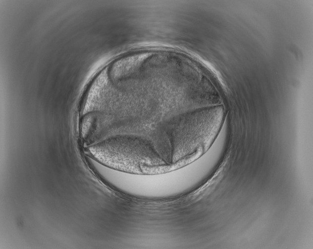 X0000111051365200907161356