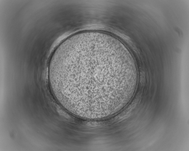 X0000111051366200907161356