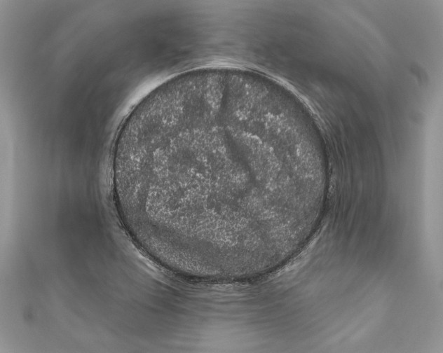 X0000111051367200907161356