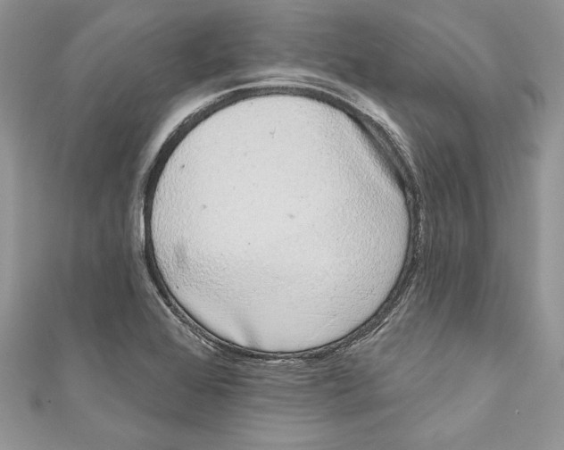 X0000111051368200907161356