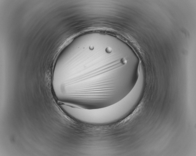 X0000111051369200907161356