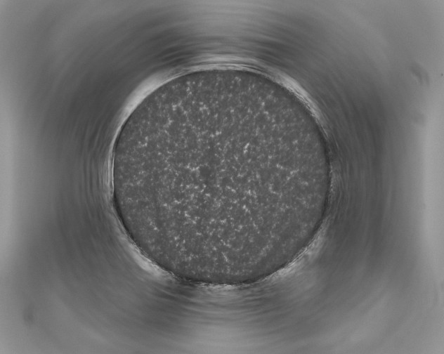 X0000111051370200907161356