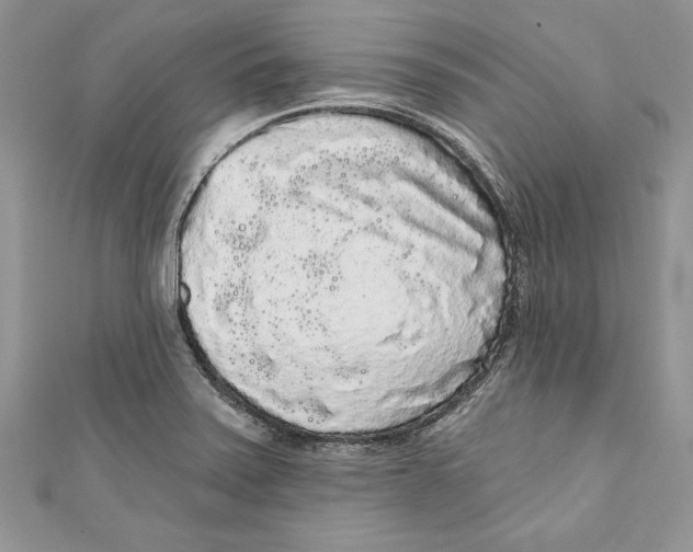 X0000111051371200907161356