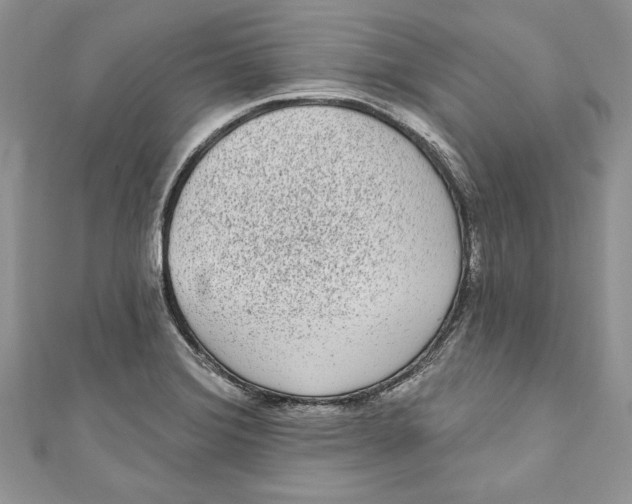 X0000111051372200907161356