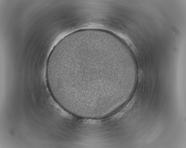 X0000111051374200907161356