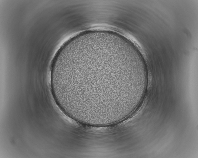 X0000111051376200907161356