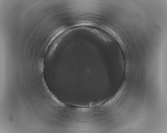 X0000111051377200907161356