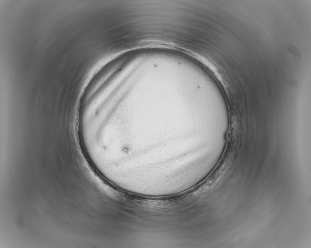 X0000111051379200907161356