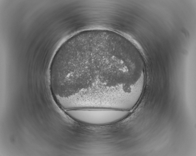 X0000111051380200907161356