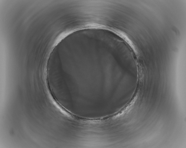 X0000111051381200907161356