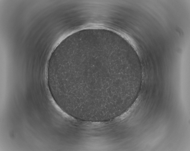 X0000111051382200907161356