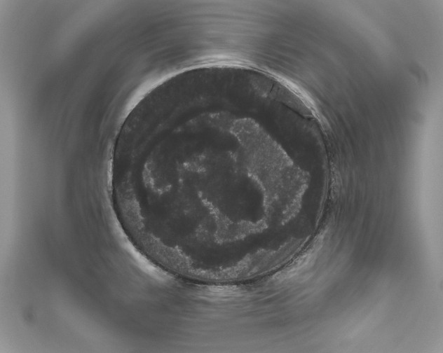 X0000111051383200907161356