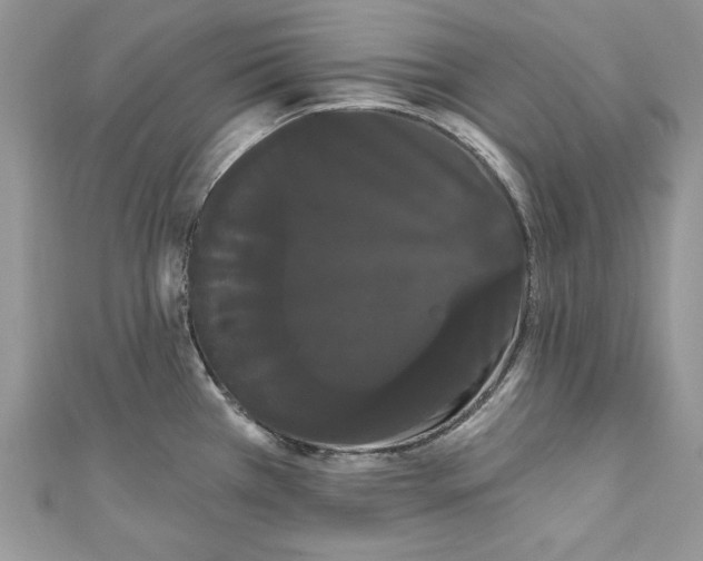 X0000111051385200907161356