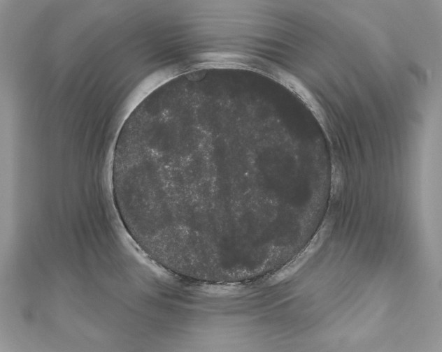 X0000111051386200907161356