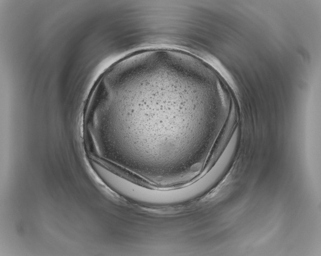 X0000111051388200907161356