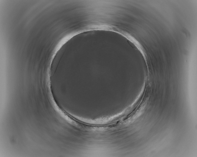 X0000111051389200907161356