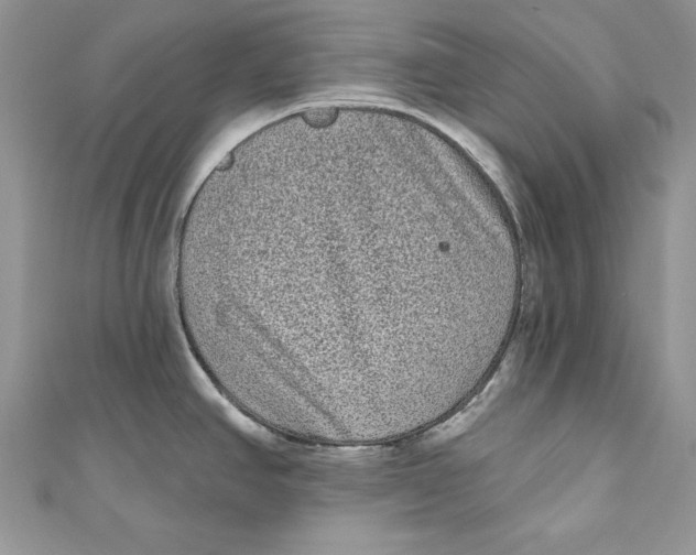 X0000111051390200907161356