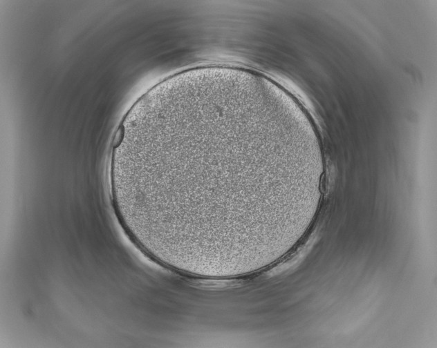 X0000111051391200907161356